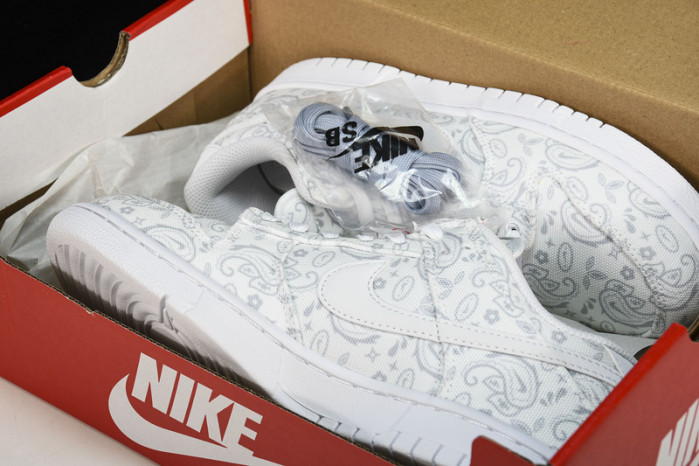 Nike Dunk Low DJ9955-100