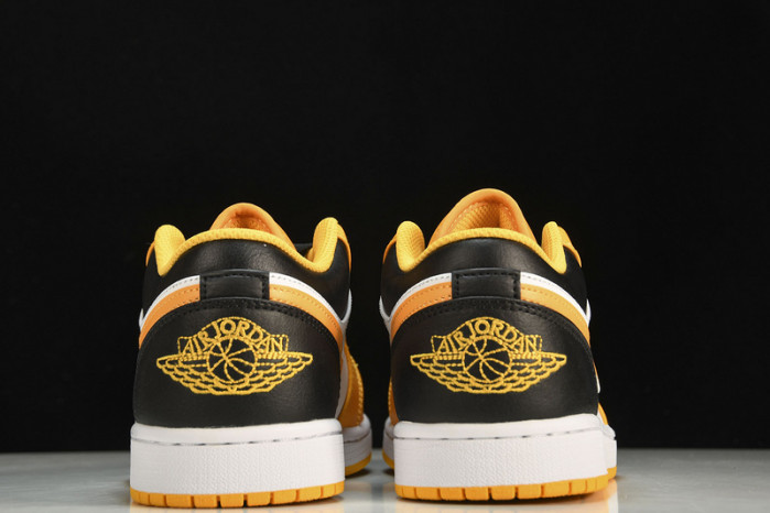 Nike SB Low 553558-701